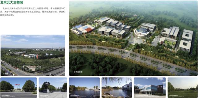 刘强东马化腾吉林省,马化腾投资刘强东