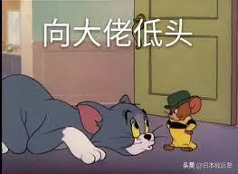 qs世界大学排名2024早稻田大学,早稻田大学排名为什么那么低