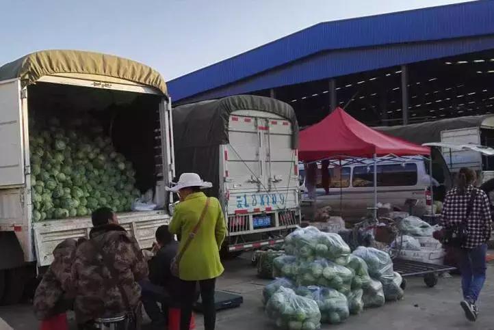 蔬菜价格常见涨一天跌三天的状况，皆因蔬菜太多人心太急所致