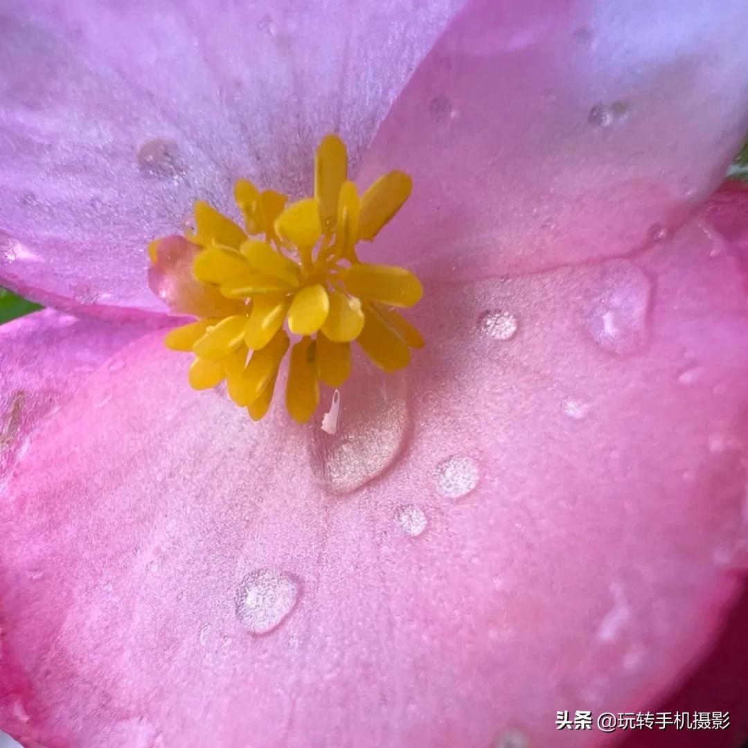 iphone13目前公认拍照最好看,iphone13全系列拍照对比