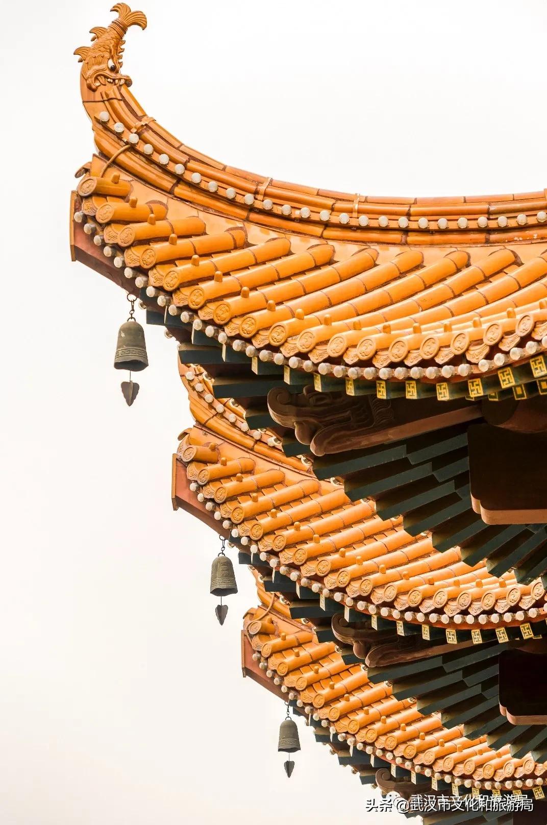 武汉江边最高的建筑,武汉江边高楼