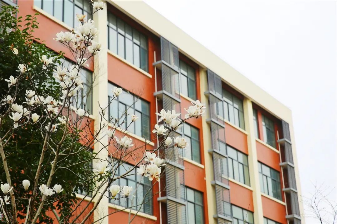 松江将启2所公办学校校区,上海再添四所重点高中