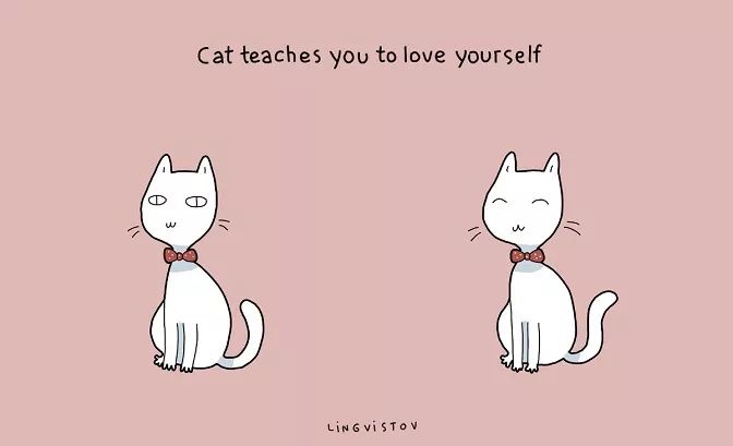 铲屎官的快乐你不懂,铲屎官的乐趣没有猫粮