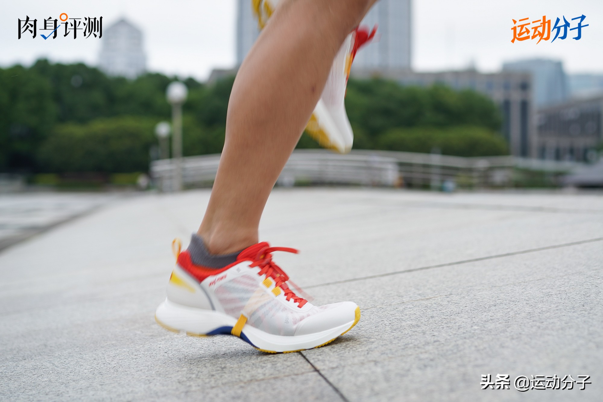 多威maxpower,多威max版