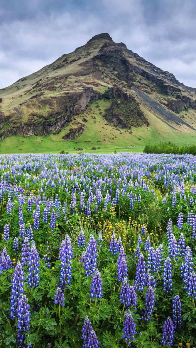 小学生必背成语清单,儿童必背100个成语