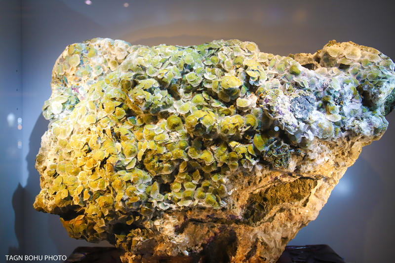 衢州常山春日旅游攻略,常山小众景点