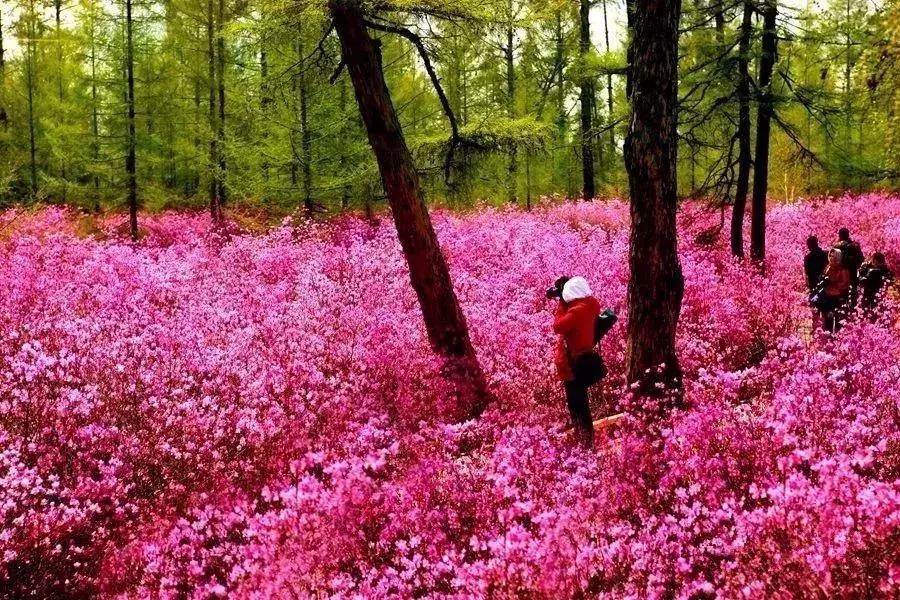 黑龙江旅游小众胜地,黑龙江值得旅游的10个地方