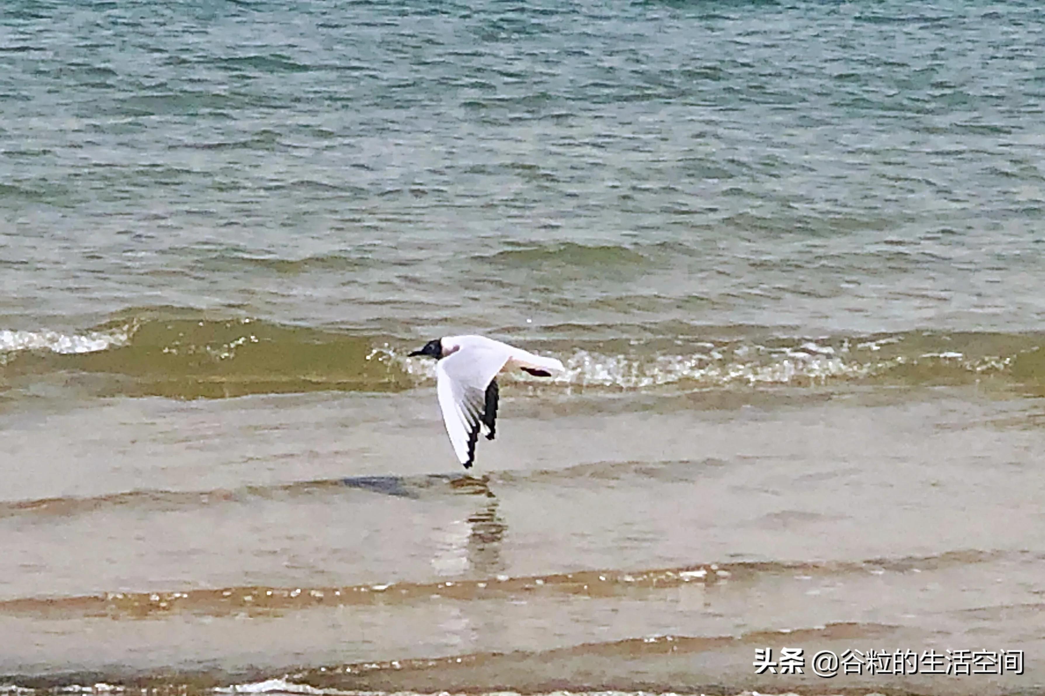 偷偷告诉你一个约会的好地方,告诉你一个亲子游的好地方