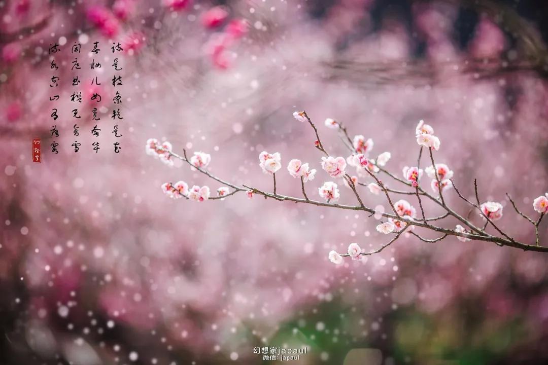 10句惊艳岁月的诗词,十首岁月静好的诗句