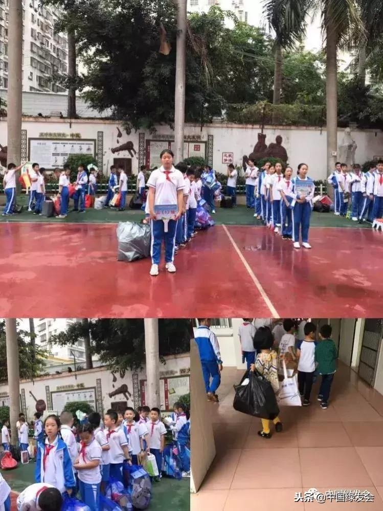 中国绿发会头条,中国绿发会在行动