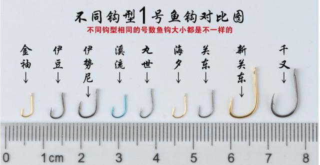零基础钓鱼入门基本知识和装备,新手钓鱼入门基本知识零基础