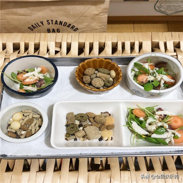 仓鼠因吃的太好而遭羡慕,但鼠鼠却愁容满面,表示菜单该换了