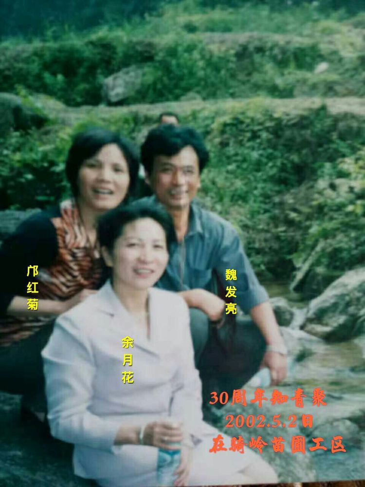 知青情结图片素材,60年代的知青情结