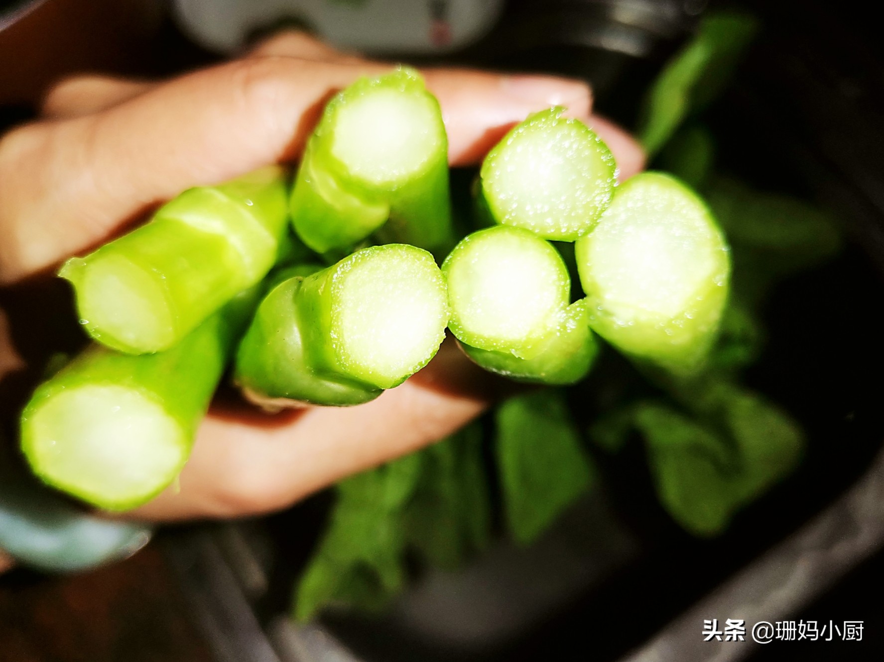 青菜焯水如何保持青绿,青菜焯水正确方法