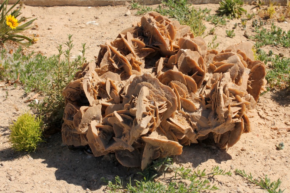 沙漠玫瑰石头,沙漠玫瑰石风水寓意