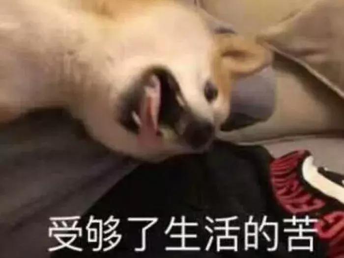 考个研出来学历高了工资也低了,为了考研究生都有多拼