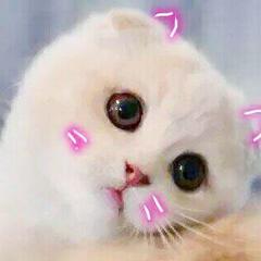 在excel中设置颜色会自动变色,在excel表格按颜色自动计数