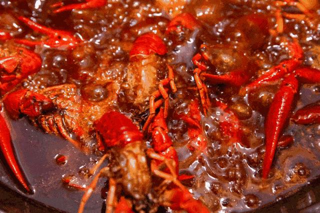 藏在新桥的宝藏夜市，邀你一起狂欢开学季