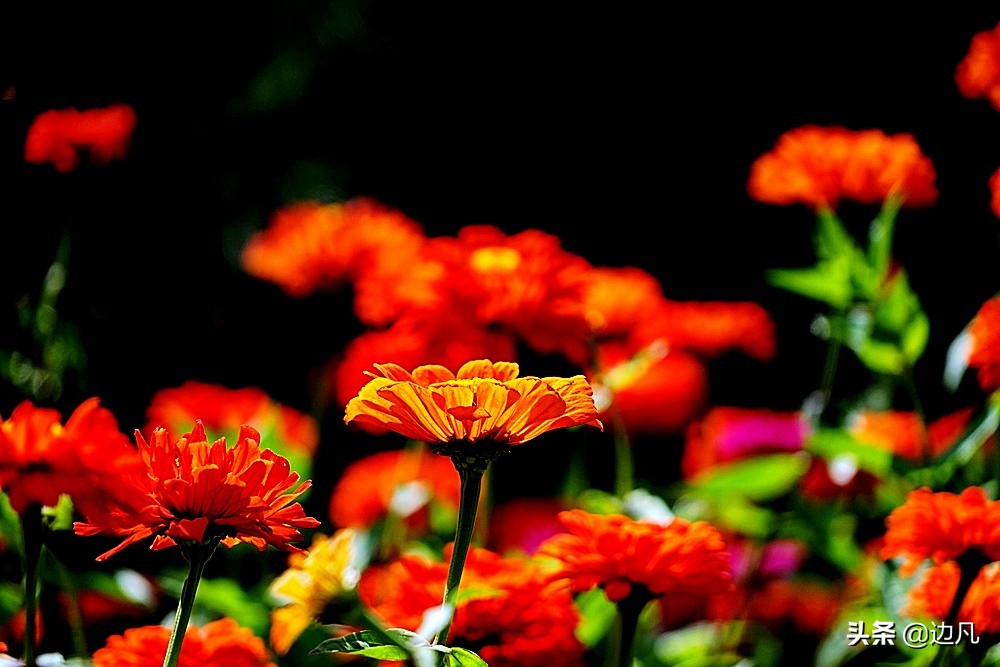 航拍一个村寨,航拍最美山谷风景