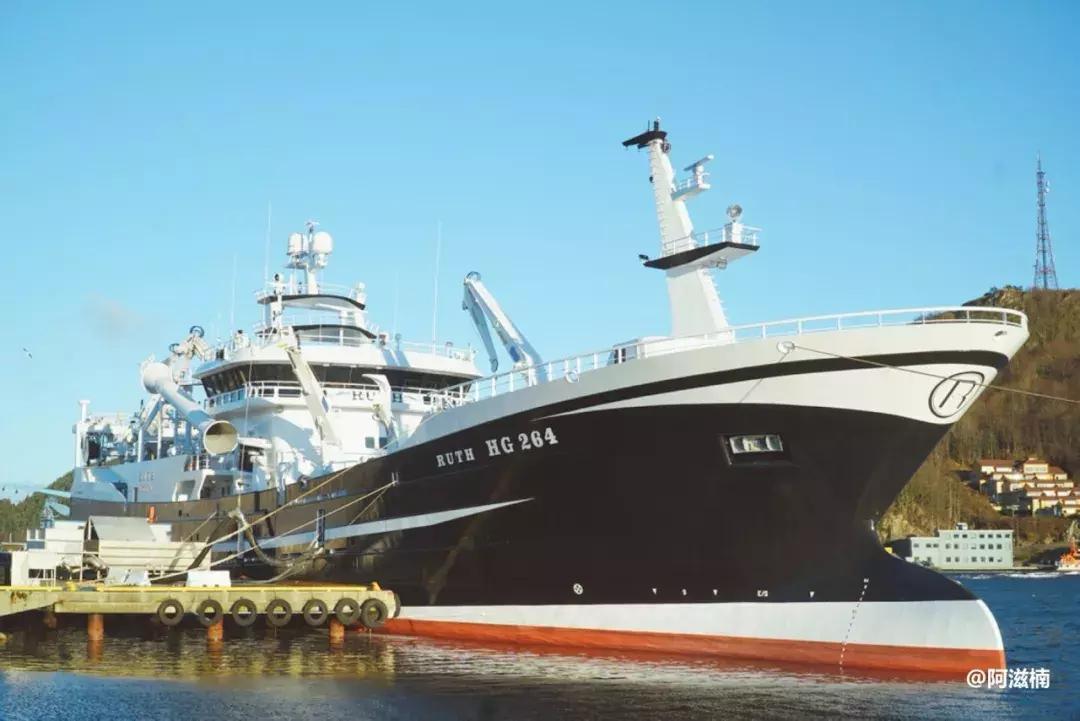 为了吃世界上最好吃的青花鱼，我飞去了挪威，光是捕捞船价值4亿