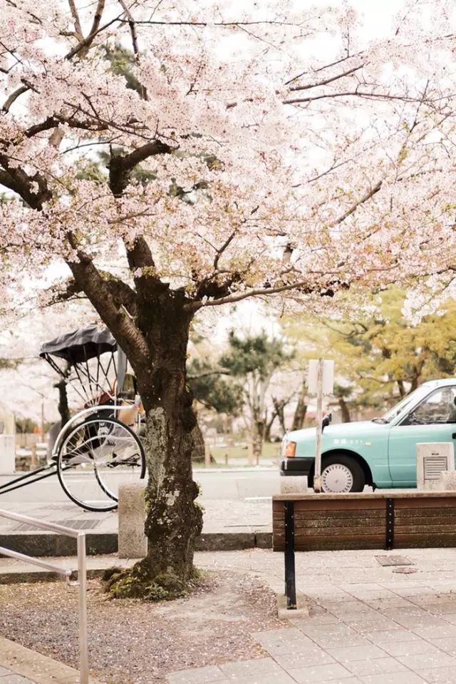 爱旅行的女人经典感言,爱旅行的女性心理