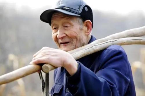 回忆我的父亲,回忆我的父亲鲁迅