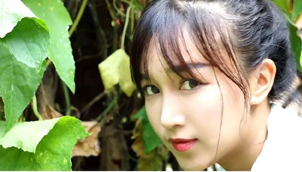 有一种向往叫西双版纳,有一种向往叫诗和远方完整版