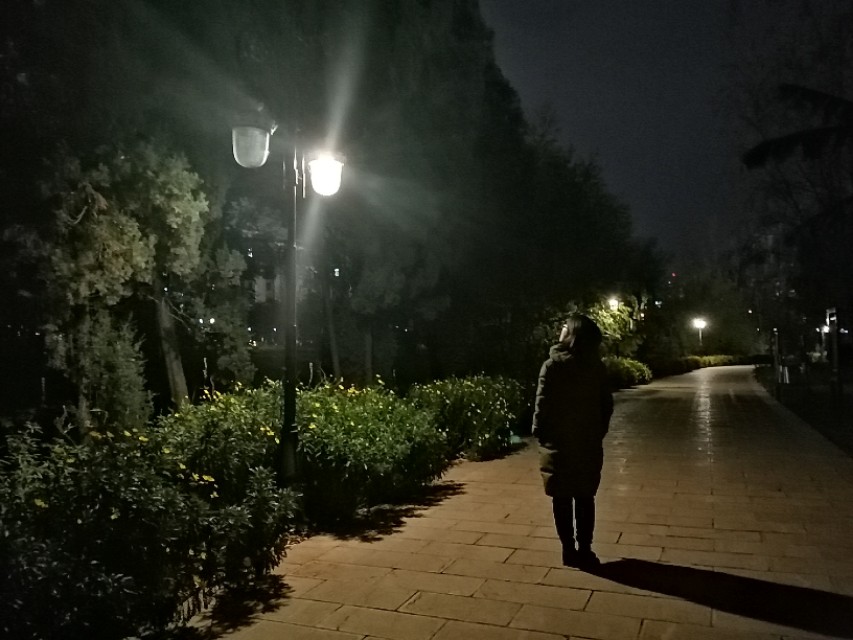 曲靖泰丰公园,晨拍泰丰公园路边