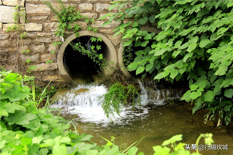 平阴县毛铺八里沟,平阴安城毛铺水库