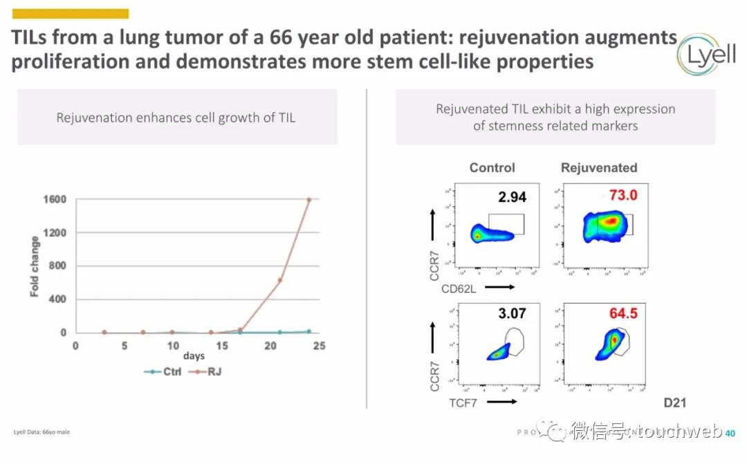 肿瘤免疫治疗公司Lyell冲刺美股：年亏2亿美元路演PPT曝光