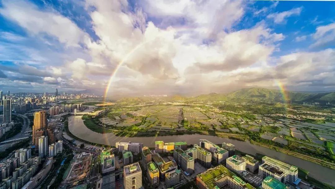 理论中心组进行集体学习,理论学习中心组集体学习计划