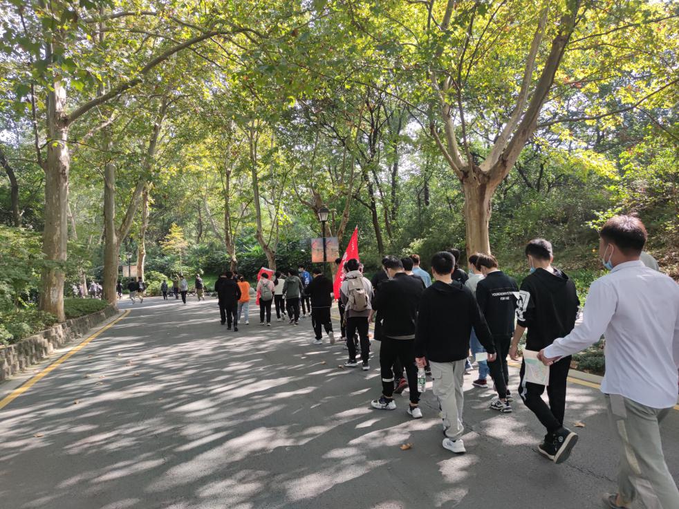 赶巧了,北大清华与北大青鸟