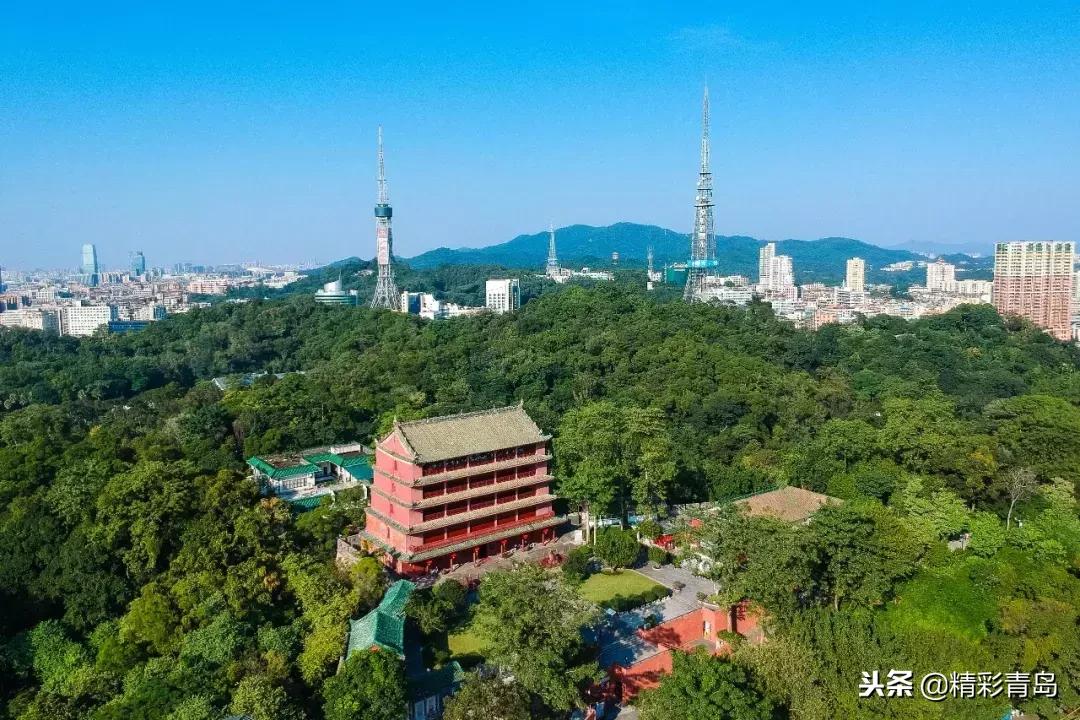 什么是麻雀定律,什么是应激反应表现有哪些