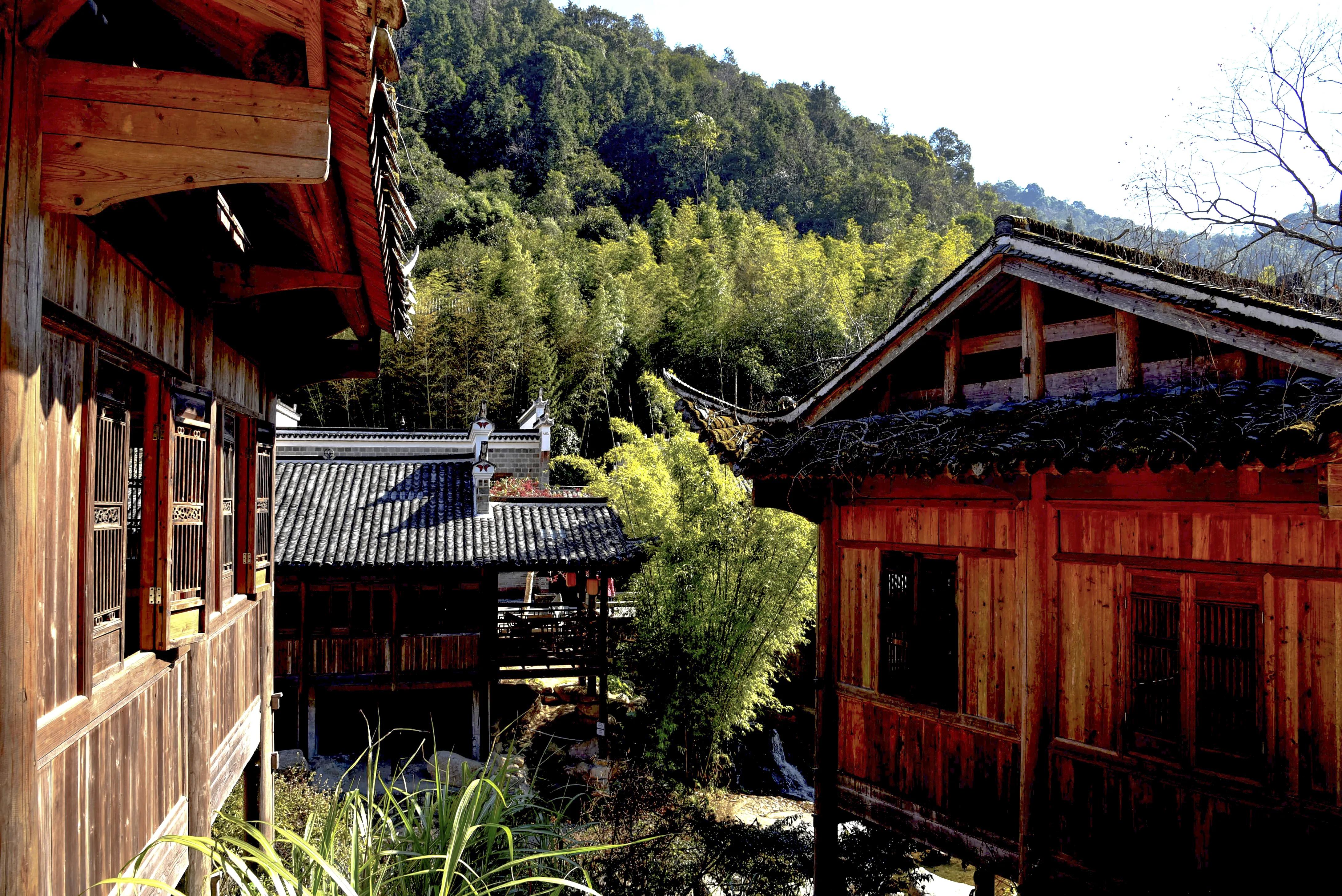 新丰云髻山,新丰云髻山枫叶红了吗