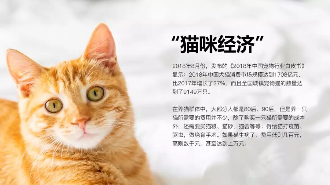 ppt技巧实用图片版,ppt图片使用技巧大全