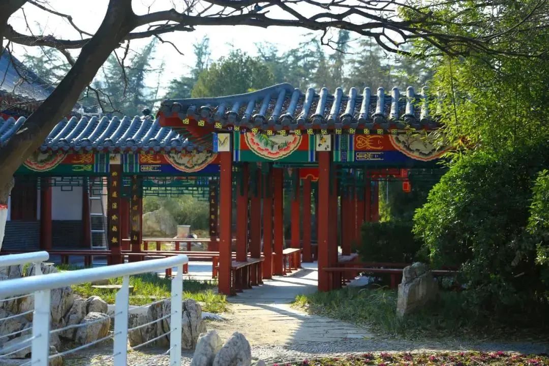 潍坊的私家园林,潍坊自怡园有哪些景点