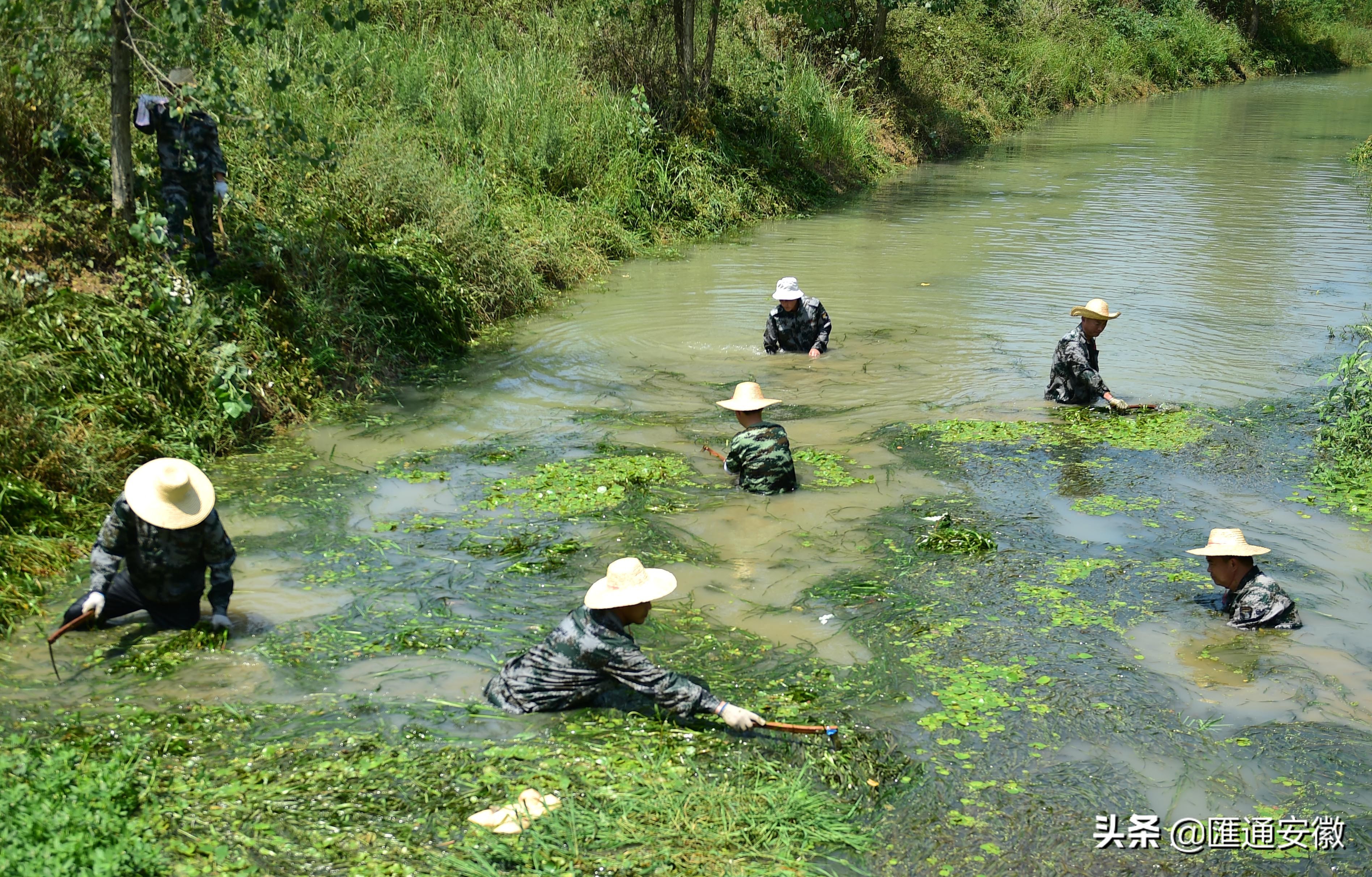 小蜀山支渠50多人盛夏打捞水草保障3万亩庄稼灌溉