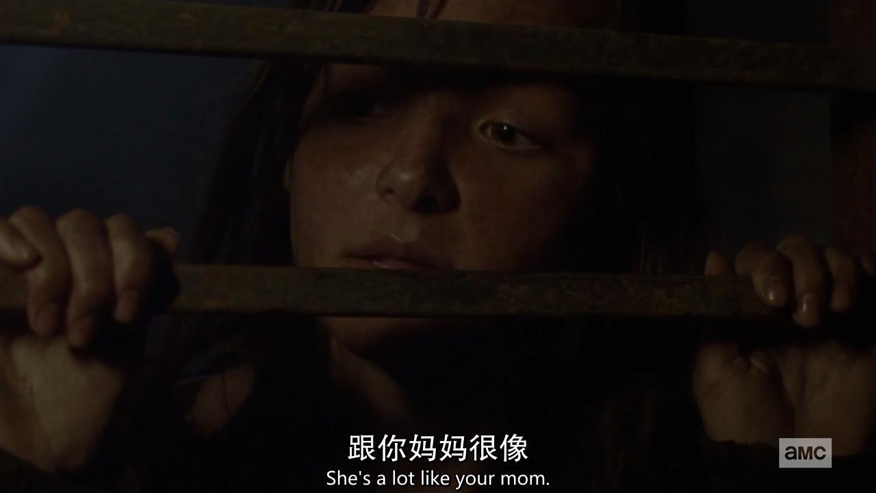 行尸走肉s01,行尸走肉9-12季讲解大全