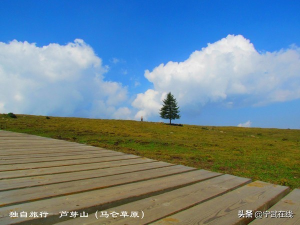宁武芦芽山悬崖栈道,太原出发芦芽山马仑草原自驾路线