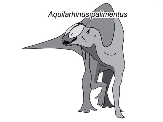 科学家发现新鹰鼻鸭嘴恐龙，由于长得太怪，不知道该怎么形容