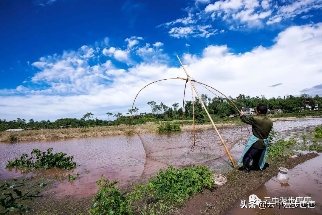 广安岳池坪滩保华村,岳池坪滩风景区
