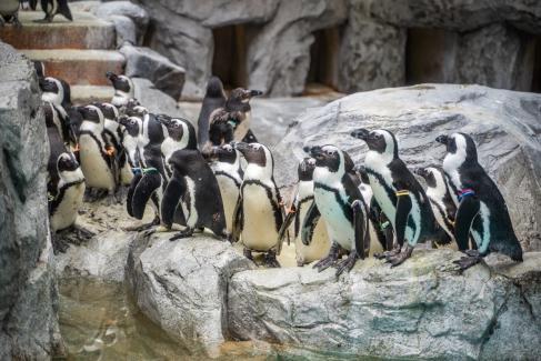 日本九州温泉城市,日本九州岛温泉