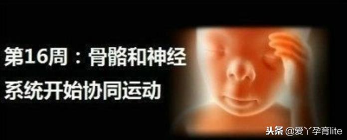 37周到40周做些什么产检,孕期产检知识大全