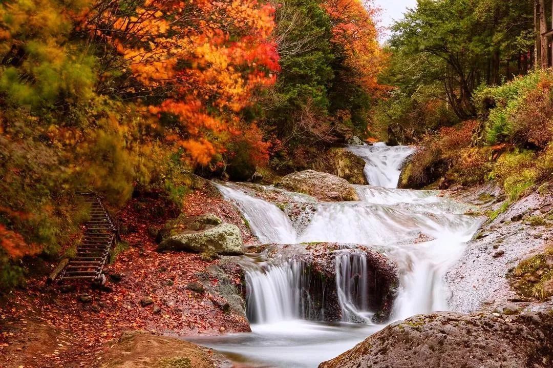 日本长野县旅行,日本长野赏樱旅游攻略