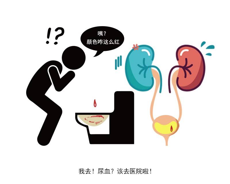 肾脏是否有尿液说明着什么呢,肾损坏是不是代表尿液也有问题了