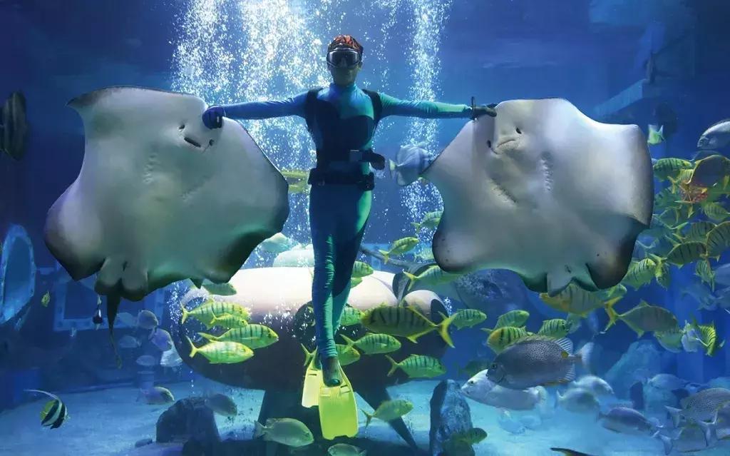 哈尔滨冰雪旅游5日游攻略,哈尔滨冰雪大世界好还是长春的好