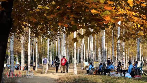 长春南湖公园太美了,长春南湖的景观