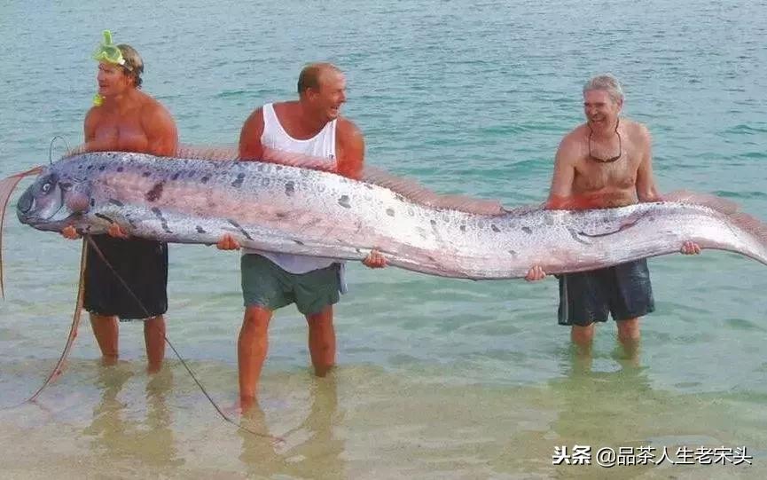 最新世界十大“怪”，最后一个太绝了！