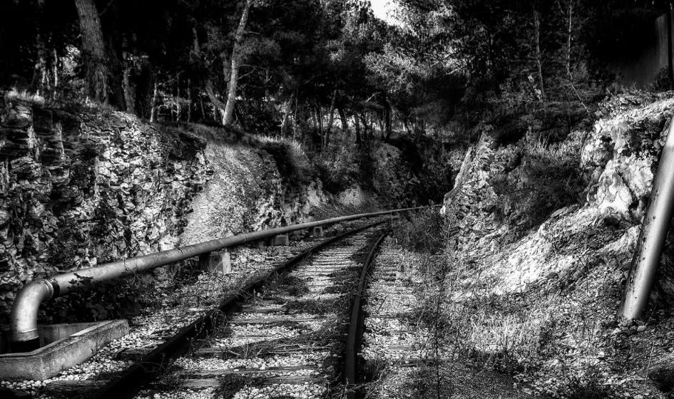 月光杀人案是哪一集,月光谋杀案视频