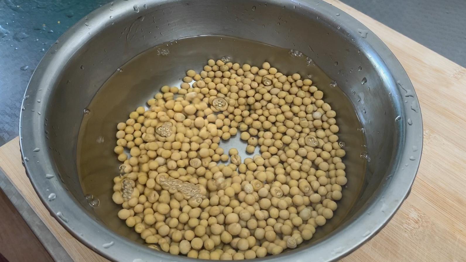 豆芽怎么在土壤里发芽,不用胶水就可以发豆芽的方法